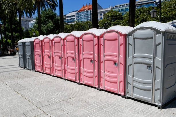 Types of Portable Toilets We Offer in Ste Genevieve, MO